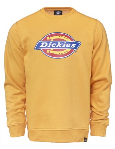 Dickies Mens Hoodie AMBER PITTSBURGH -02 200241