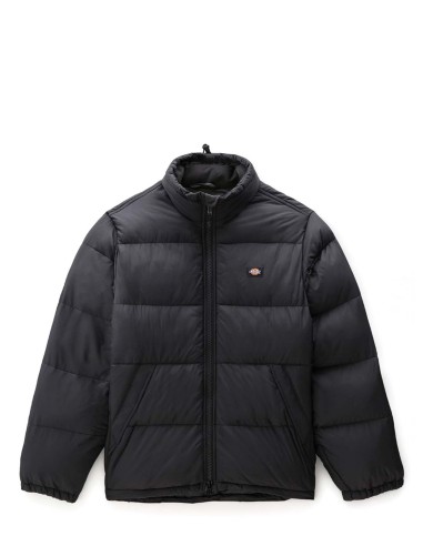 Dickies Waldenburg Μπουφάν-DK0A4XP2BLK