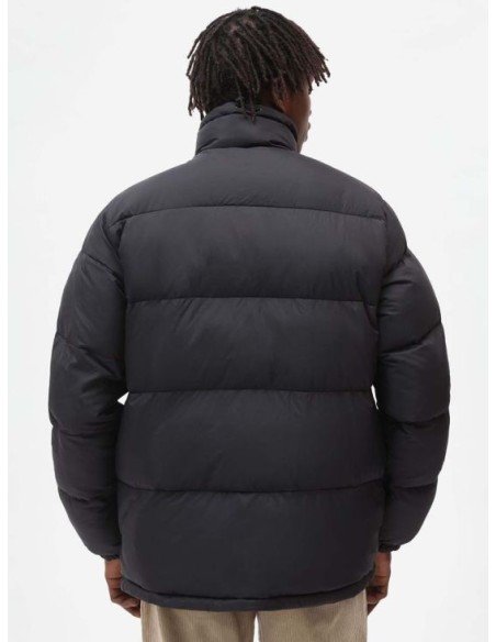 Dickies Waldenburg Μπουφάν-DK0A4XP2BLK