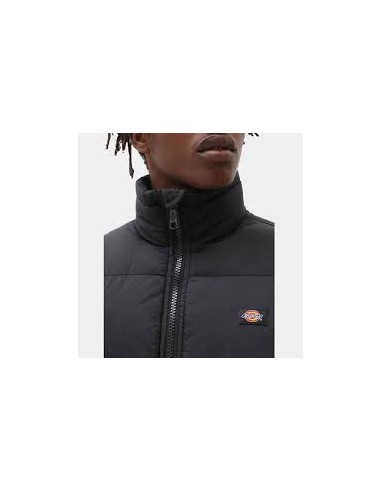 Dickies Waldenburg Μπουφάν-DK0A4XP2BLK