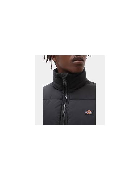 Dickies Jacket M Waldenburg - DK0A4XP2BLK