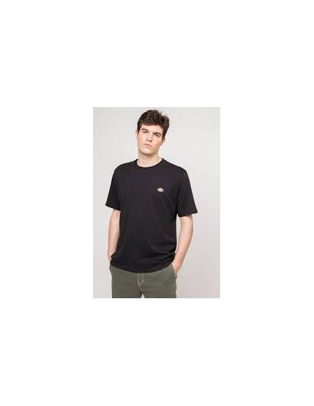 Dickies T-Shirt Mapleton-DK0A4XDBBLK