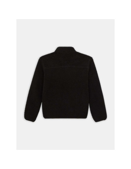 Dickies Fleece Jacket M Mount Hope - DK0A4YEEBLK1
