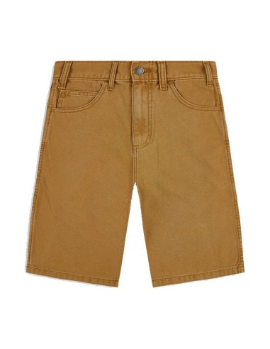 DICKIES SHORT M DUCK CARPENTER STONE...