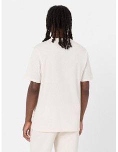 DICKIES T-SHIRT M MAPLETON... 2