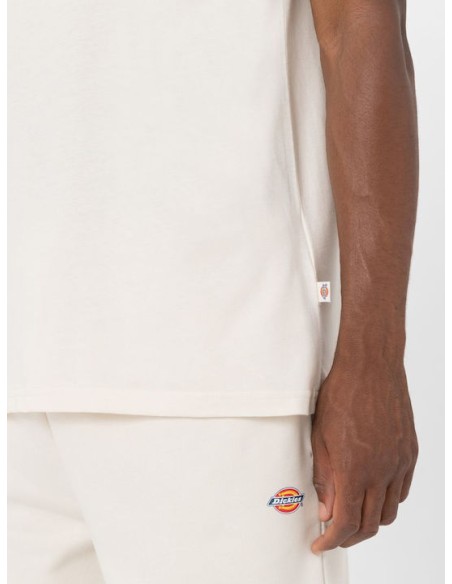 DICKIES SS MAPLETON TEE WHITECAP GRAY - DK0A4XDBF901