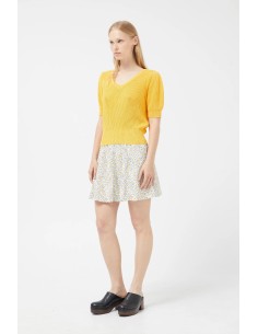 Compania Fantastico Daisy...