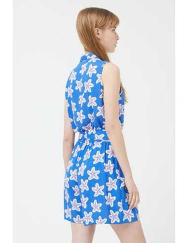 Compania Fantastica Blue Starfish...