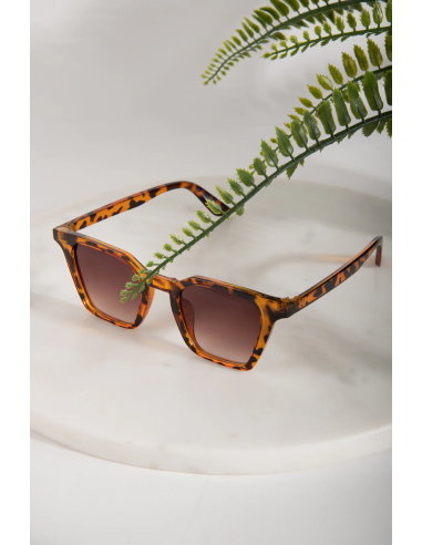 24 colours Sunglasses Brown - 18788