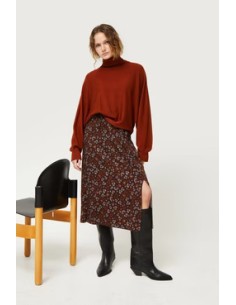 Compania Fantastica Midi...