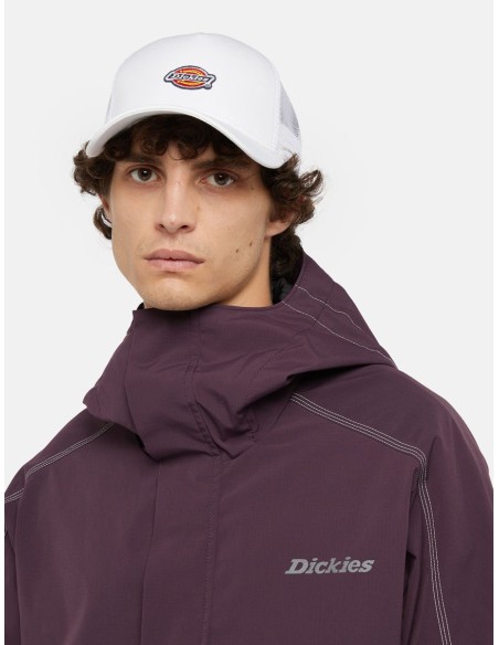 DICKIES Hanston Trucker Cap - DK0A4Z6MC481