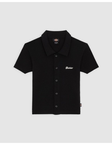 copy of DICKIES MAPLE VALLEY TEE WHITE - DK0A4Z8FC481