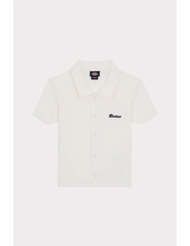 copy of DICKIES MAPLE VALLEY TEE WHITE - DK0A4Z8FC481