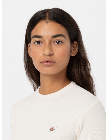 copy of DICKIES MAPLE VALLEY TEE WHITE - DK0A4Z8FC481