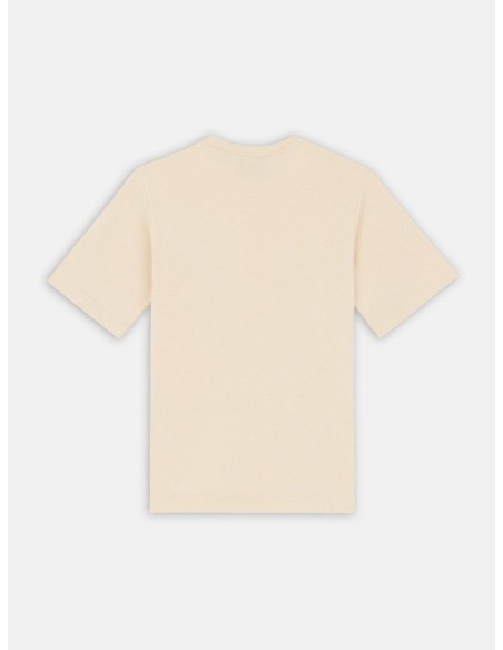 copy of DICKIES MAPLE VALLEY TEE WHITE - DK0A4Z8FC481