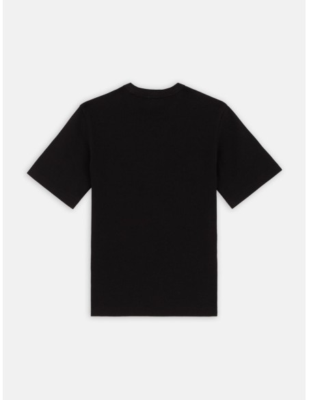 copy of DICKIES MAPLE VALLEY TEE WHITE - DK0A4Z8FC481