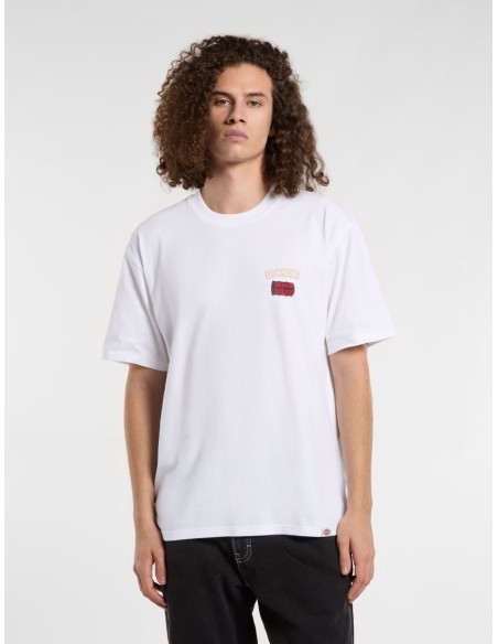 copy of DICKIES SNAKE SS TEE ICEBERG GREEN-DK0A4Z99K361