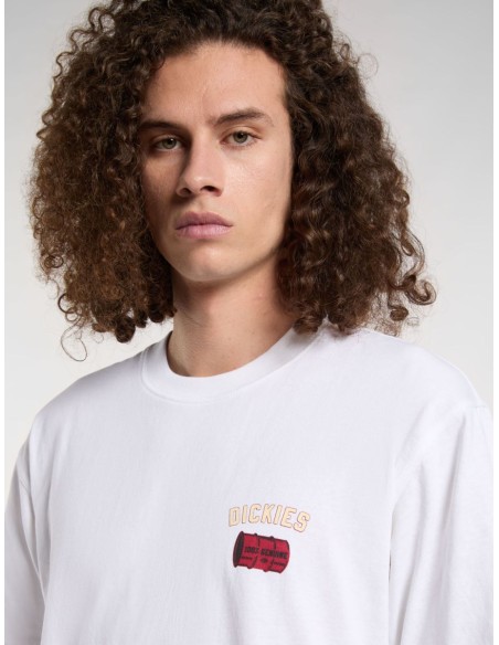 copy of DICKIES SNAKE SS TEE ICEBERG GREEN-DK0A4Z99K361