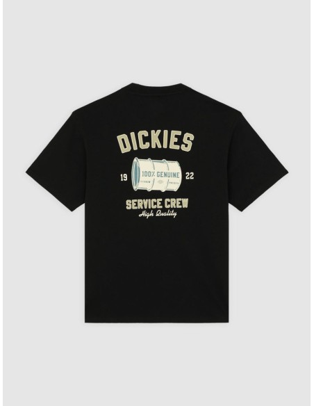 copy of DICKIES SNAKE SS TEE ICEBERG GREEN-DK0A4Z99K361