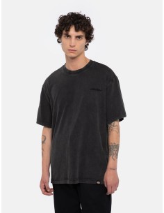 DICKIES PLENTYWOOD TEE SS...