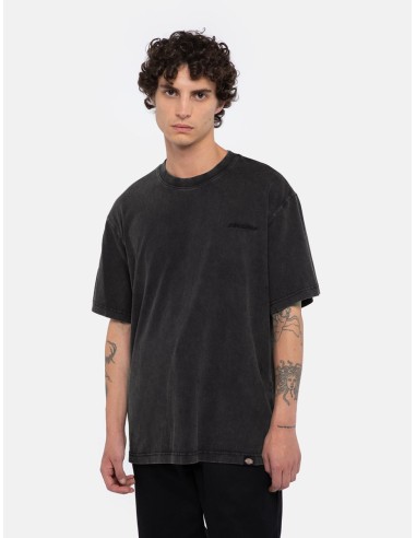 DICKIES PLENTYWOOD TEE SS DBLE DYE/ACID WASH BLACK - DK0A866BH861