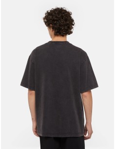 DICKIES T-SHIRT M... 2