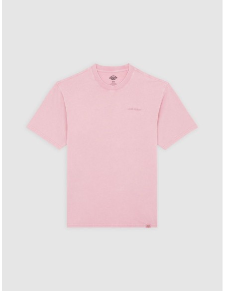 DICKIES T-SHIRT M PLENTYWOOD LILAS -DK0A866BK391