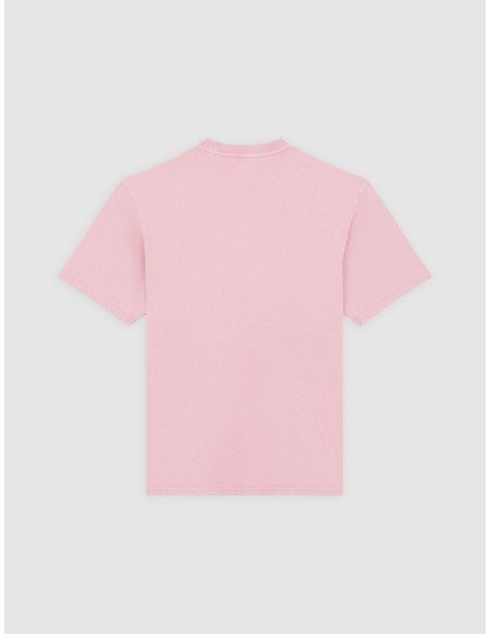 DICKIES T-SHIRT M PLENTYWOOD LILAS -DK0A866BK391