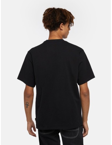 DICKIES CLANCY HEAVYWEIGHT TEE SS...