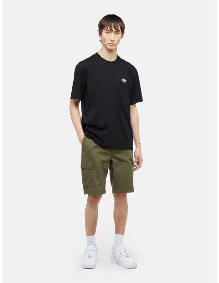 DICKIES SHORTS M MILLERVILLE MILITARY GR - DK0A4XEDMGR1