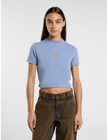 DICKIES MAPLE VALLEY TEE COUNTRY BLUE - DK0A4XPOK371