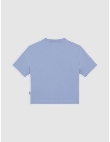 copy of DICKIES MAPLE VALLEY TEE...