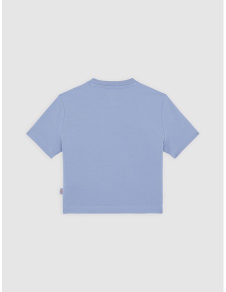 copy of DICKIES MAPLE VALLEY TEE WHITE - DK0A4Z8FC481