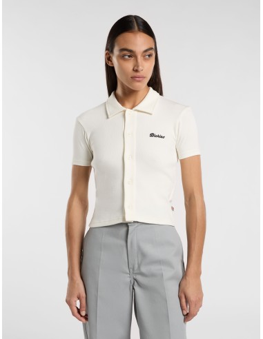 copy of DICKIES MAPLE VALLEY TEE WHITE - DK0A4Z8FC481