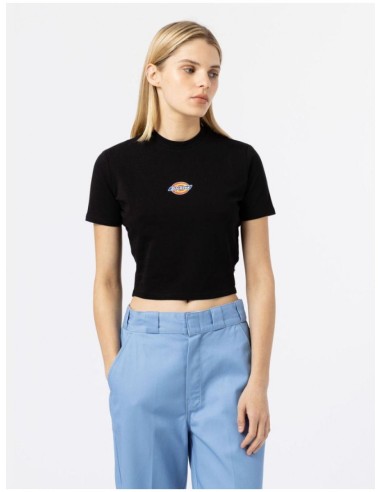 DICKIES MAPLE VALLEY TEE BLACK  - DK0A4XPOBLK1