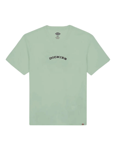 DICKIES T-SHIRT M OUTDOOR ICEBERG GREEN- DK0A4Z8PK361