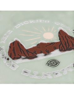 DICKIES OUTDOOR SS TEE... 2