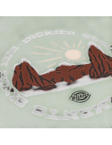 DICKIES T-SHIRT M OUTDOOR ICEBERG...