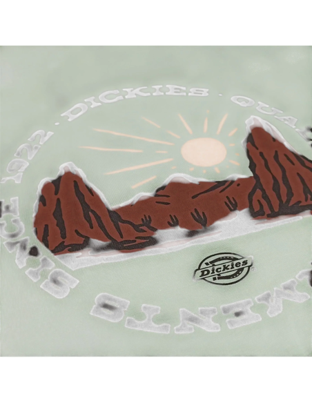 DICKIES OUTDOOR SS TEE ICEBERG GREEN- DK0A4Z8PK361