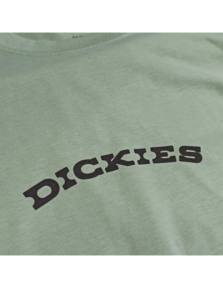 DICKIES OUTDOOR SS TEE ICEBERG GREEN- DK0A4Z8PK361