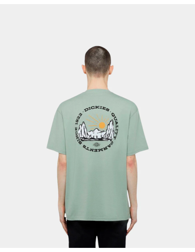 DICKIES OUTDOOR SS TEE ICEBERG GREEN-...