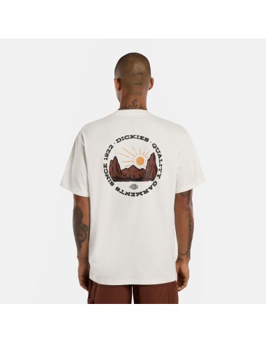 DICKIES T-SHIRT M OUTDOOR EGRET-... DICKIES T-SHIRT M OUTDOOR EGRET-...