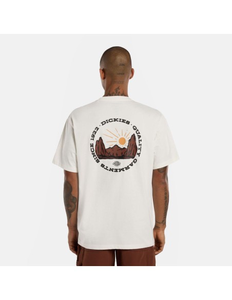 DICKIES T-SHIRT M OUTDOOR EGRET- DK0A4Z8PC481