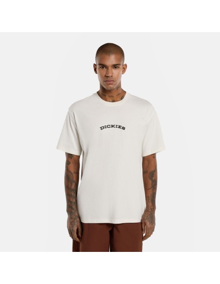 copy of DICKIES OUTDOOR SS TEE ICEBERG GREEN- DK0A4Z8PK361