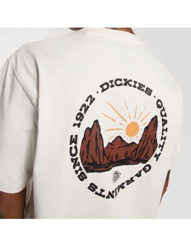 copy of DICKIES OUTDOOR SS TEE...
