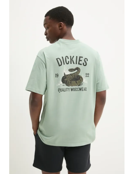 DICKIES SNAKE SS TEE ICEBERG GREEN-DK0A4Z99K361