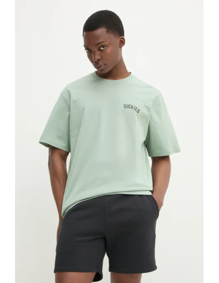 DICKIES T-SHIRT M SNAKE ICEBERG GREEN-DK0A4Z99K361