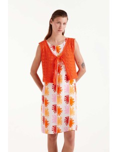 Compania Fantastica Orange...