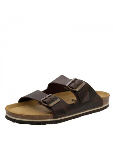 Plakton Memory Escama APURE Marron...