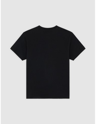 Dickies Top Williston Tee SS W Black...